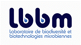 upmc-logotype